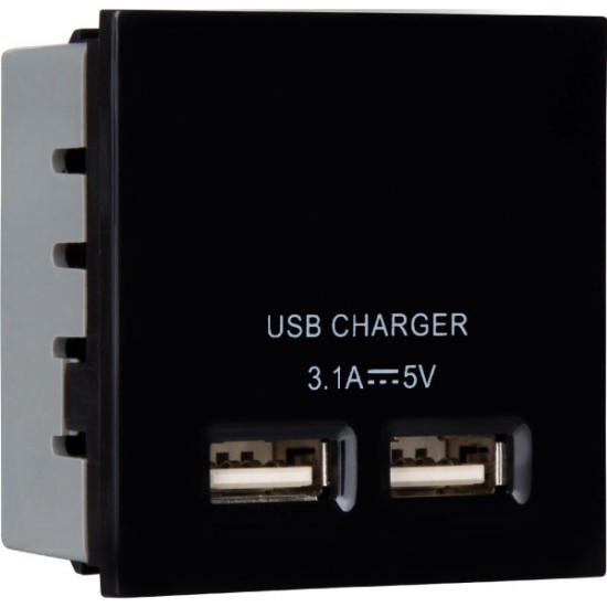 2 port 3.1A USB Charger Euro Module in Black with Bespoke Brown Option
